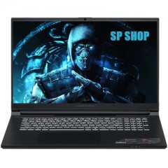 Ноутбук Ardor gaming G17-I15ND301