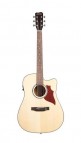 трансакустическая гитара Joyo jwgt01