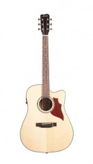 трансакустическая гитара Joyo jwgt01